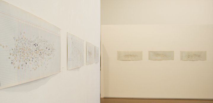 Simryn Gill On the Shelf