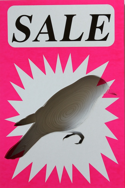 Sale Robin 2009