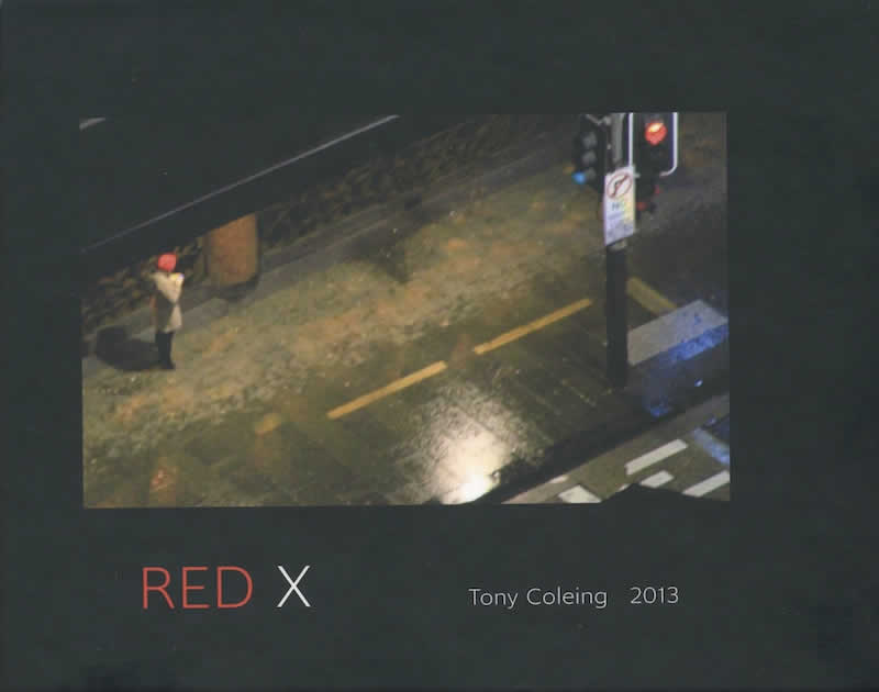 Red X 2013